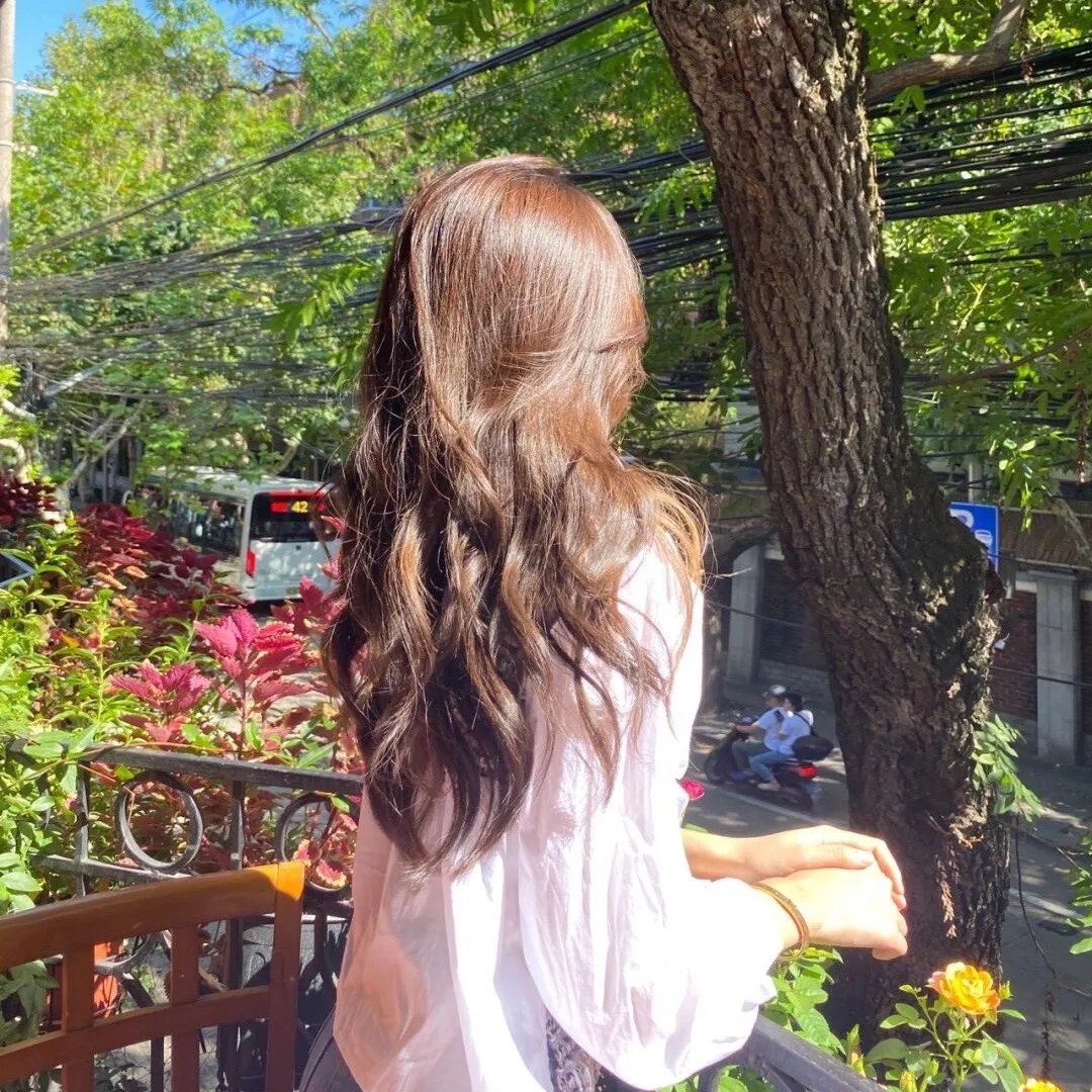 奈何前夫非要娶我