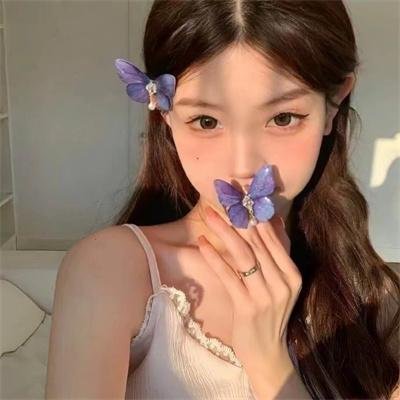 一个警察局长对共和国检察官的自白